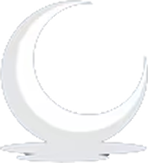 The Safe Moon